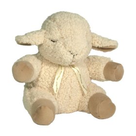 1st Birthday Gift Idea