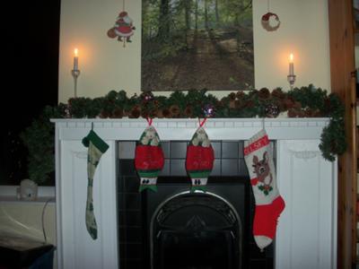 The stockings