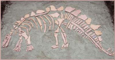 Dinosaur Game