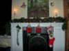 The stockings