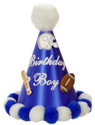 1st bday hat boy 1st bday hat boy